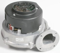 bx pt gold hea h29057 h49334 fan main.jpg